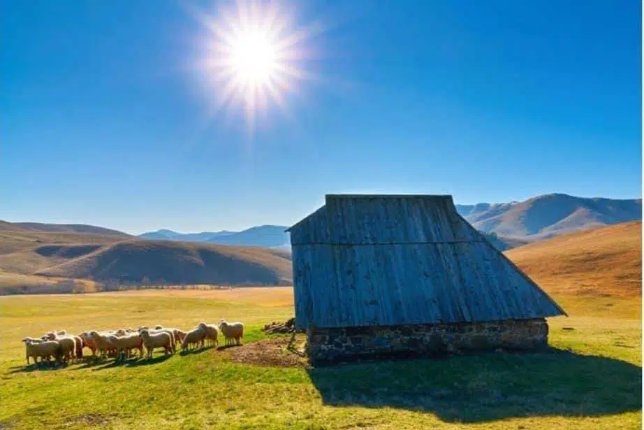 Sve o planini Zlatibor