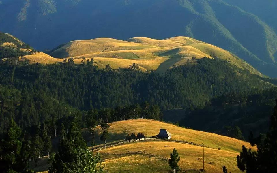 Seoski turizam na Zlatiboru